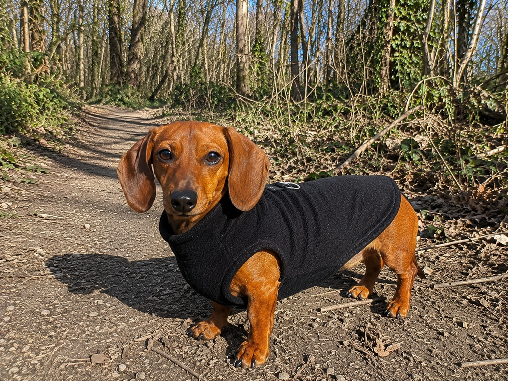 Soft Fleece Dog Jacket