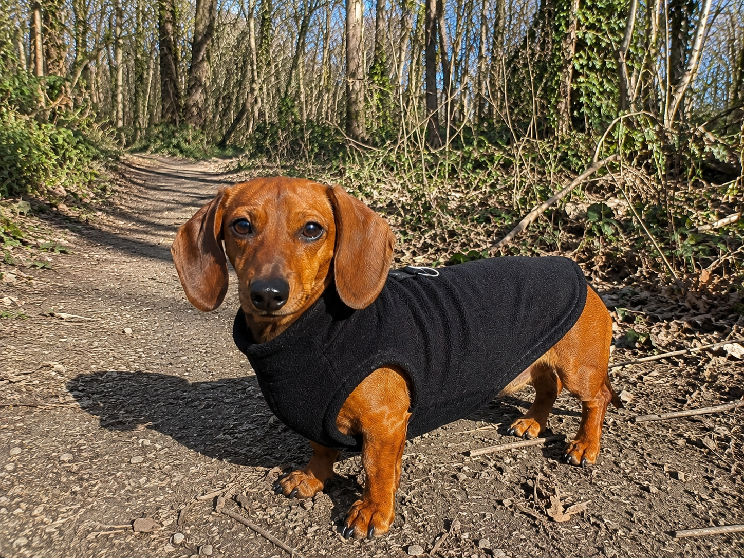 Soft Fleece Dog Jacket