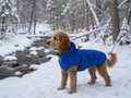 Windproof and Warm Dog Coat