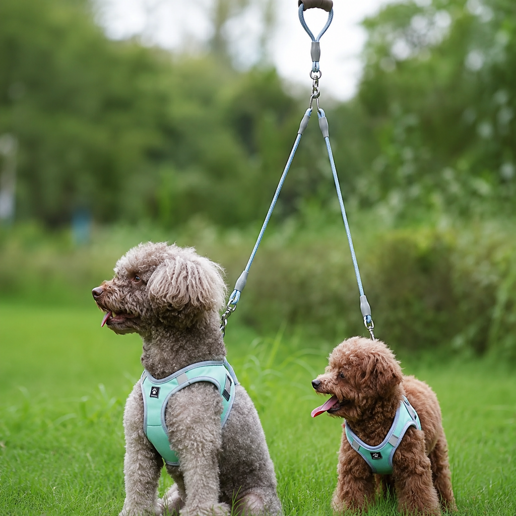 Dual Dog leash