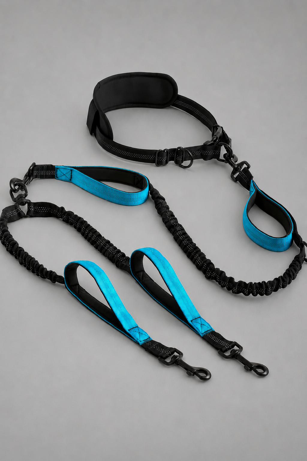 Hands Free Double Dog Leash