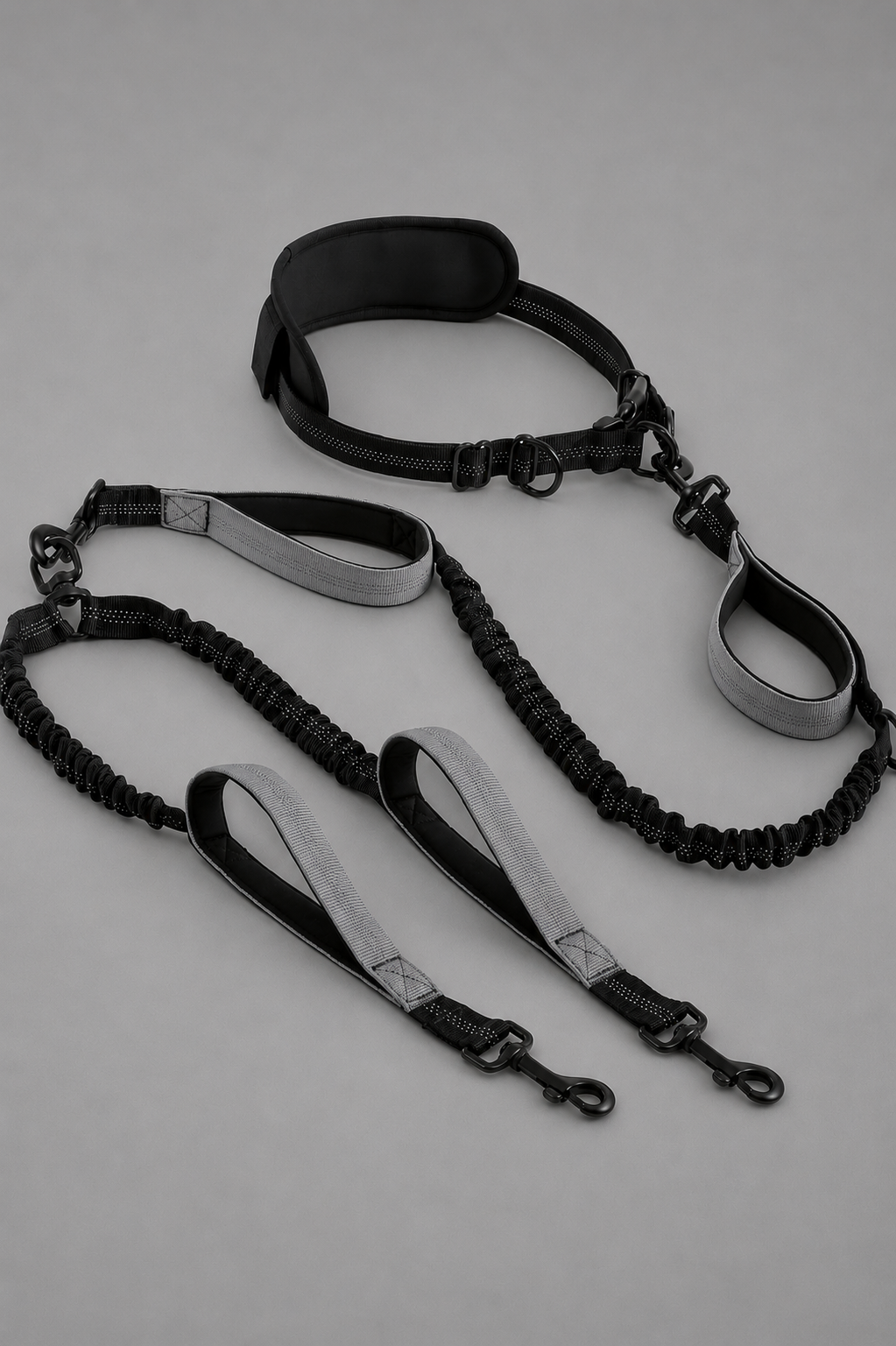 Hands Free Double Dog Leash
