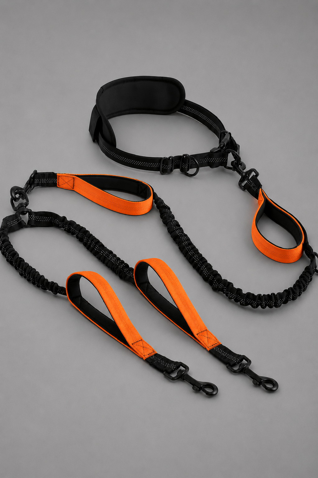Hands Free Double Dog Leash
