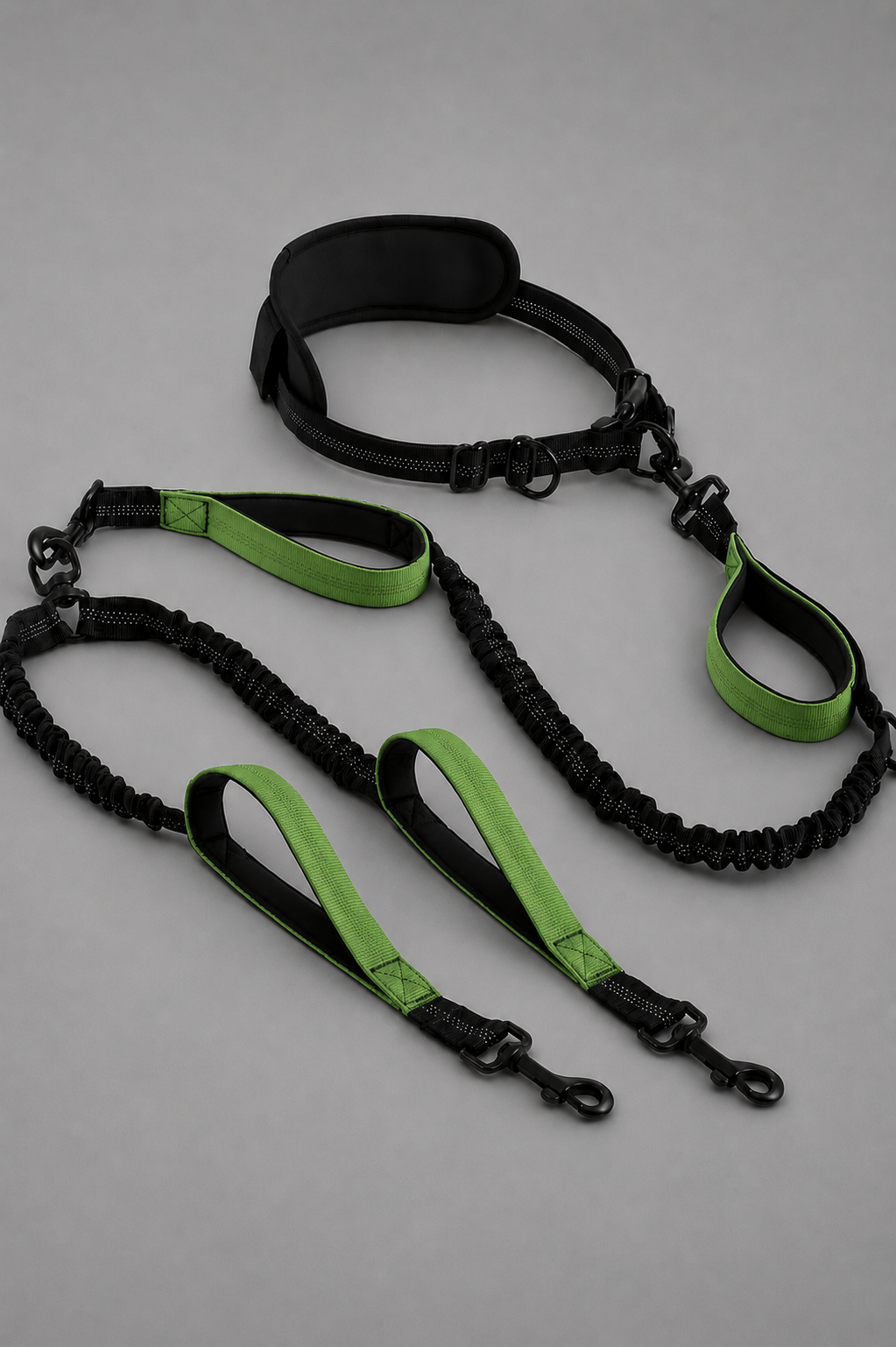 Hands Free Double Dog Leash