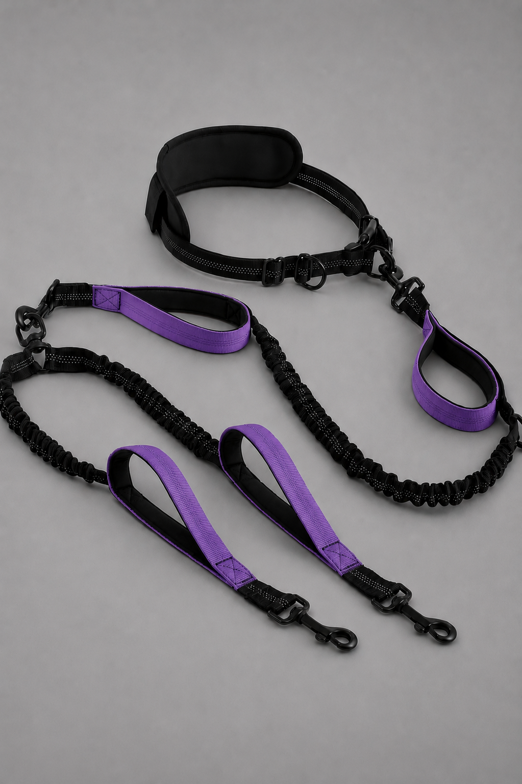 Hands Free Double Dog Leash