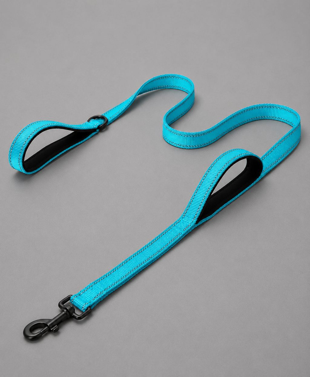 Outdoor Travel Dog leash