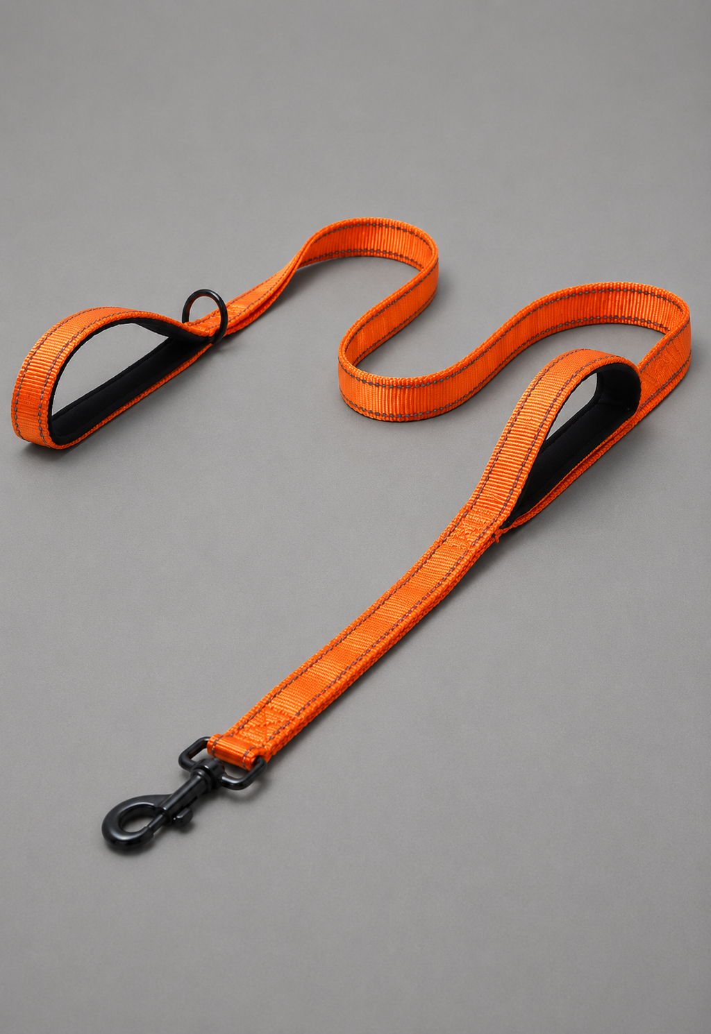Outdoor Travel Dog leash