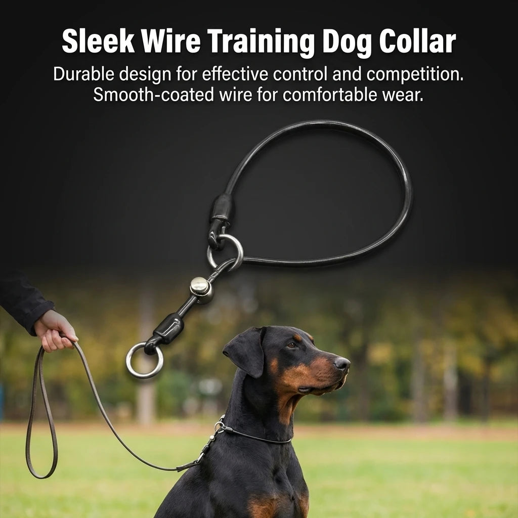 Dog Collar Steel Wire